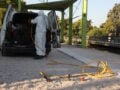 Ιός Δυτικού Νείλου: Εντείνεται η ανησυχία για την αύξηση των κρουσμάτων – «Μπορεί να προσβάλει κάθε ηλικία», λέει η Ψαλτοπούλου