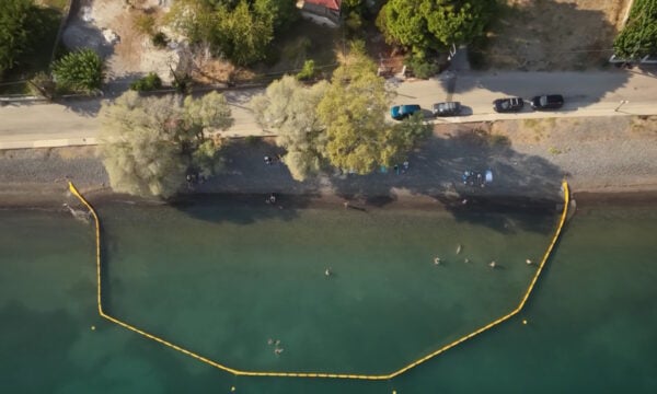 Εύβοια: Μπάνιο με πλωτά φράγματα για μωβ μέδουσες και τσούχτρες – Ελπίζουμε να εξαφανιστούν