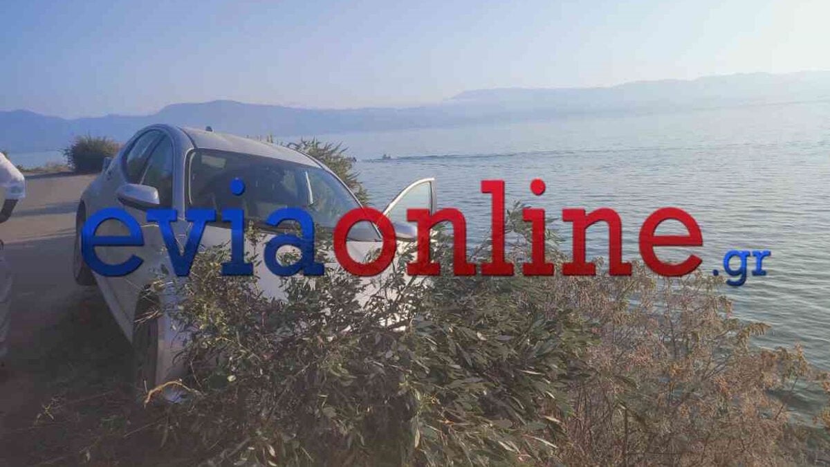 Εύβοια: 22χρονος έπεσε από γκρεμό 15 μέτρων μετά από τροχαίο, υπέστη τραύματα στο κεφάλι 1 Εύβοια: 22χρονος έπεσε από γκρεμό 15 μέτρων μετά από τροχαίο, υπέστη τραύματα στο κεφάλι