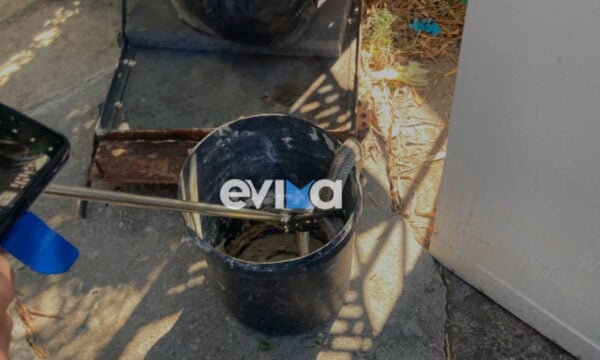 Εύβοια: Φίδι δύο μέτρων εντοπίστηκε σε αποθήκη σπιτιού