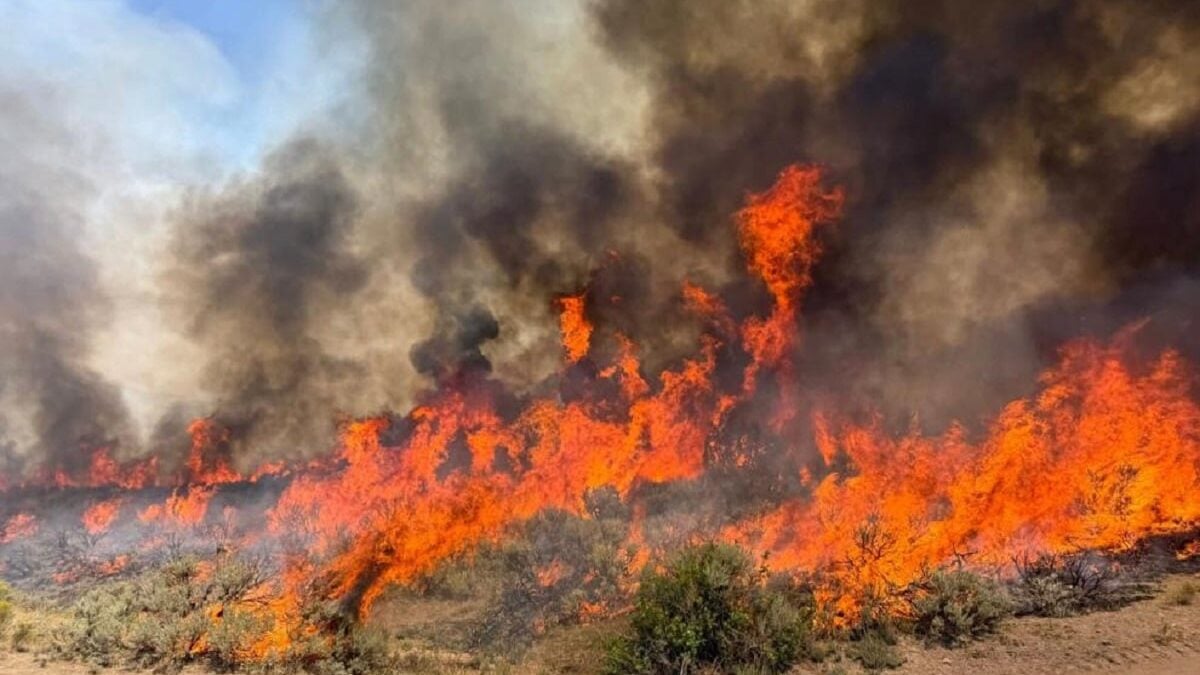 Συνετρίβη ελικόπτερο στις φωτιές της Γιούτα στις ΗΠΑ – Νεκρός χειριστής μπουλντόζας στο Όρεγκον 1 Συνετρίβη ελικόπτερο στις φωτιές της Γιούτα στις ΗΠΑ – Νεκρός χειριστής μπουλντόζας στο Όρεγκον
