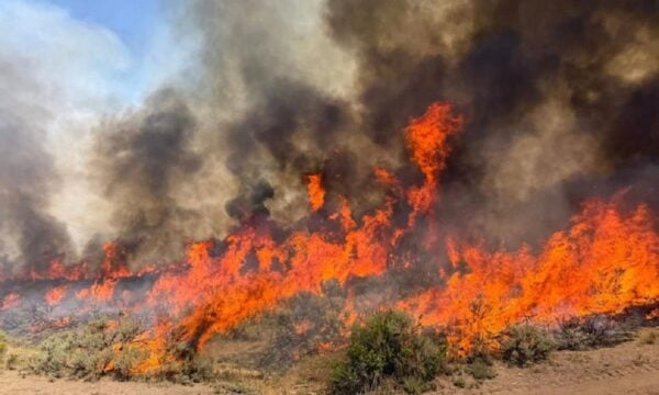 Συνετρίβη ελικόπτερο στις φωτιές της Γιούτα στις ΗΠΑ – Νεκρός χειριστής μπουλντόζας στο Όρεγκον