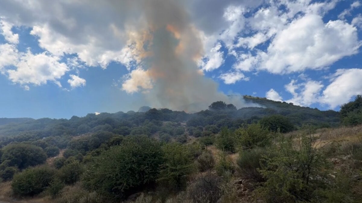 Φωτιά στη Λαμπεία Ηλείας: 7 αεροσκάφη στη μάχη της κατάσβεσης 1 Φωτιά στη Λαμπεία Ηλείας: 7 αεροσκάφη στη μάχη της κατάσβεσης