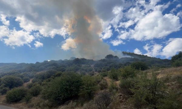 Φωτιά στη Λαμπεία Ηλείας: 7 αεροσκάφη στη μάχη της κατάσβεσης