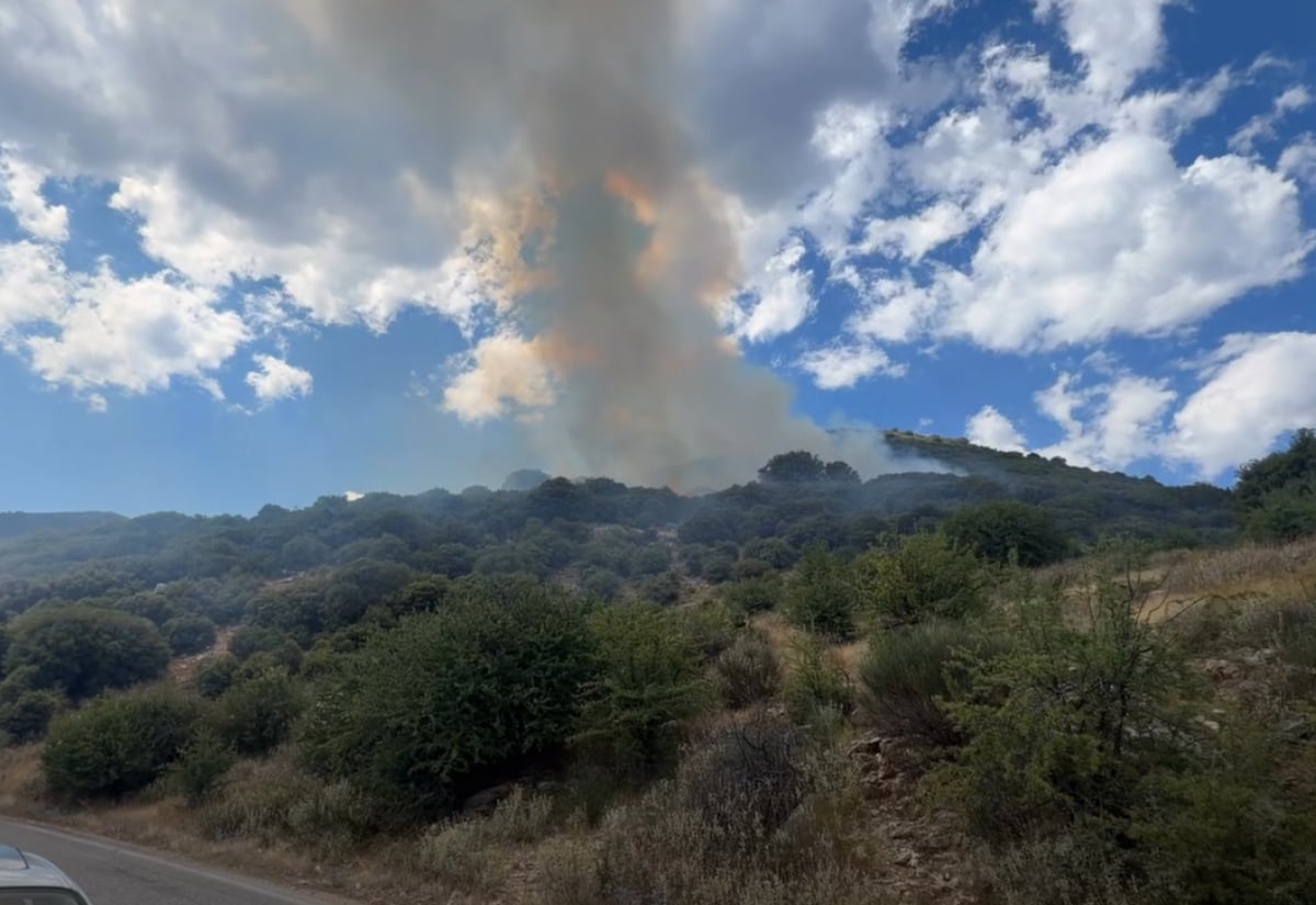 Φωτιά στη Λαμπεία Ηλείας: 7 αεροσκάφη στη μάχη της κατάσβεσης