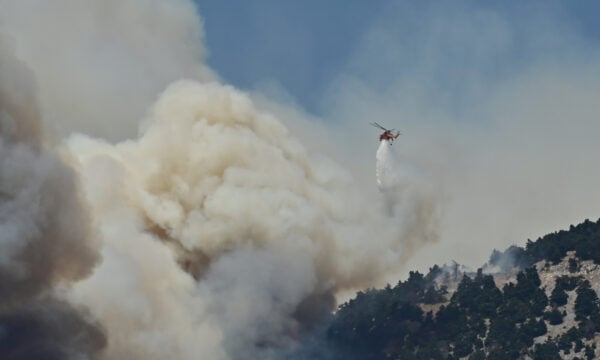 Meteo: Οι έξι πιο επικίνδυνες εβδομάδες για τις δασικές πυρκαγιές στην Ελλάδα