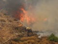 Φωτιά στην Κυρά Φαρσάλων: Σηκώθηκαν 3 αεροπλάνα και ένα ελικόπτερο