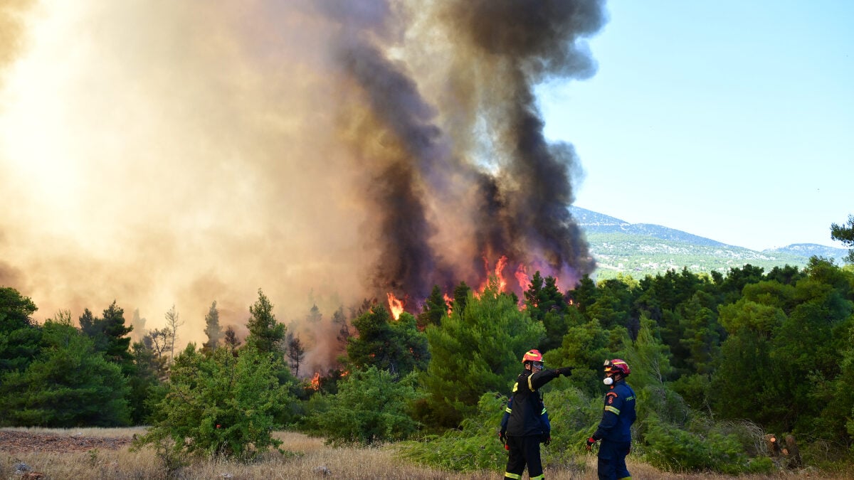 Φωτιές σε Σκύρο και Λακωνία: Συνελήφθησαν 63χρονη και 71χρονος για εμπρησμό από αμέλεια 1 Φωτιές σε Σκύρο και Λακωνία: Συνελήφθησαν 63χρονη και 71χρονος για εμπρησμό από αμέλεια