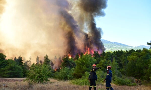 Φωτιές σε Σκύρο και Λακωνία: Συνελήφθησαν 63χρονη και 71χρονος για εμπρησμό από αμέλεια