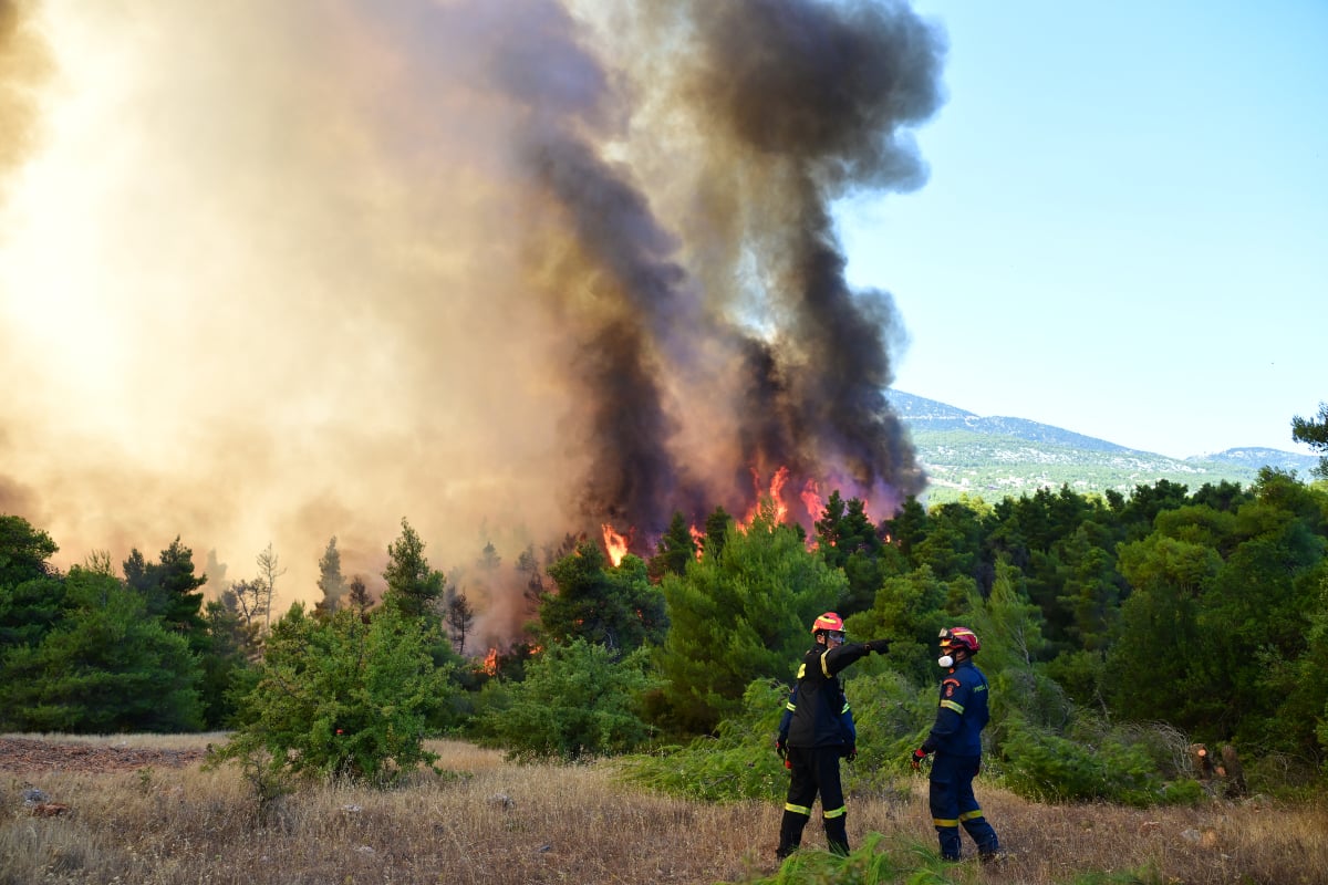 Φωτιές σε Σκύρο και Λακωνία: Συνελήφθησαν 63χρονη και 71χρονος για εμπρησμό από αμέλεια