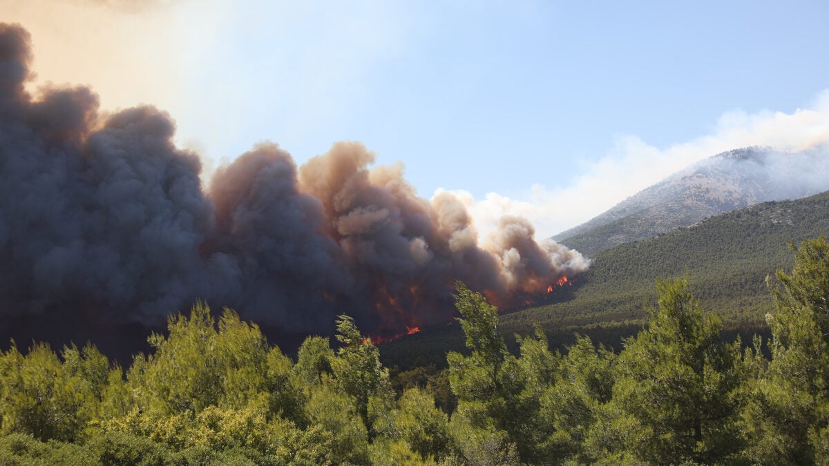Χριστίνα Ρήγου για τη φωτιά στο Πόρτο Γερμενό: Ριπές πάνω από 80 χλμ την ώρα συνέβαλαν ώστε η φωτιά να εξελιχθεί σε mega fire 1 Χριστίνα Ρήγου για τη φωτιά στο Πόρτο Γερμενό: Ριπές πάνω από 80 χλμ την ώρα συνέβαλαν ώστε η φωτιά να εξελιχθεί σε mega fire