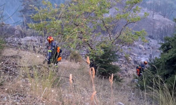 Φωτιά στο Μεσολόγγι σε αγροτική έκταση στην περιοχή Λεύκα – Σηκώθηκαν και εναέρια