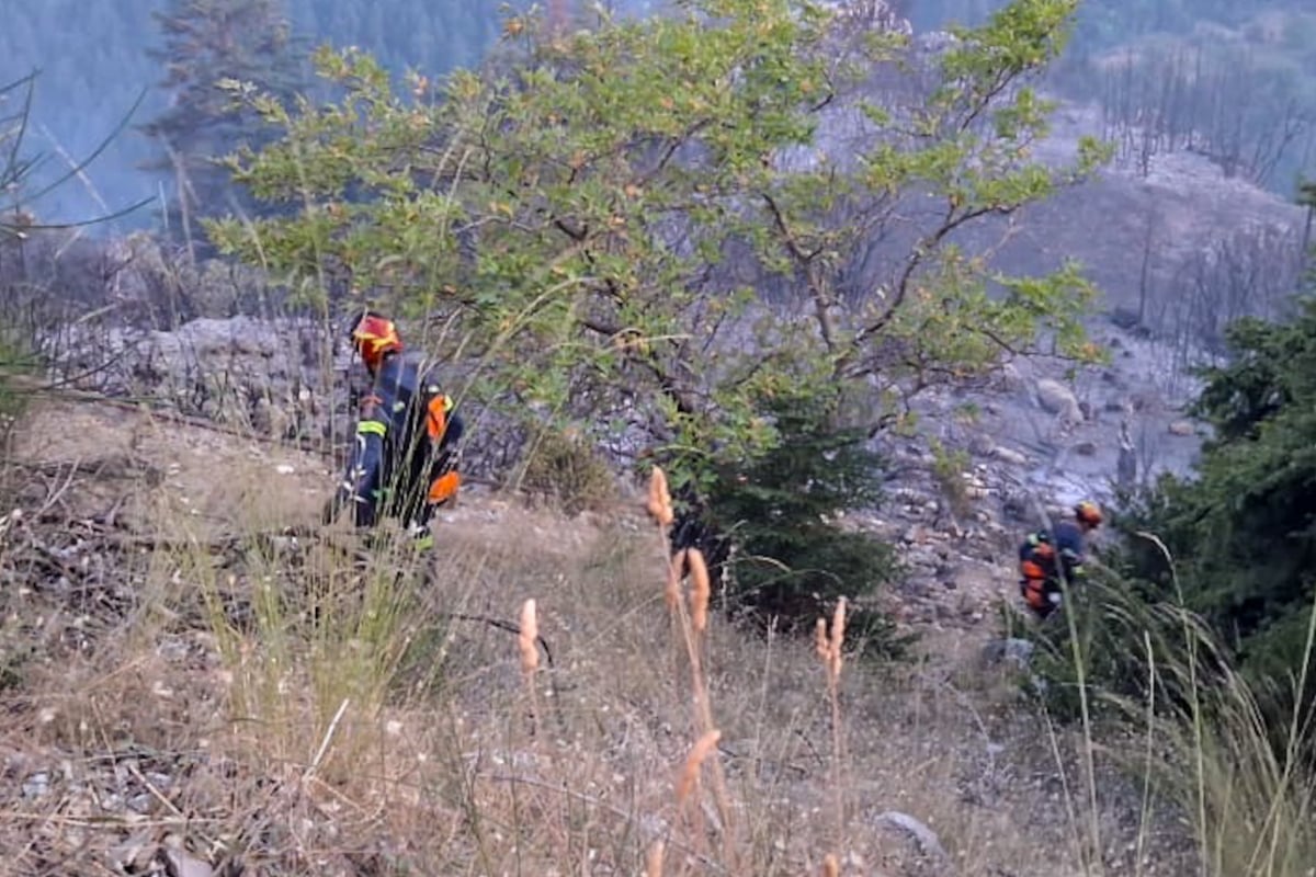 Φωτιά σε αγροτική έκταση στο Μεσολόγγι, στην περιοχή Λεύκα – Σηκώθηκαν και εναέρια