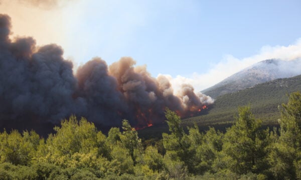 Χριστίνα Ρήγου για τη φωτιά στο Πόρτο Γερμενό: Ριπές πάνω από 80 χλμ την ώρα συνέβαλαν ώστε η φωτιά να εξελιχθεί σε mega fire