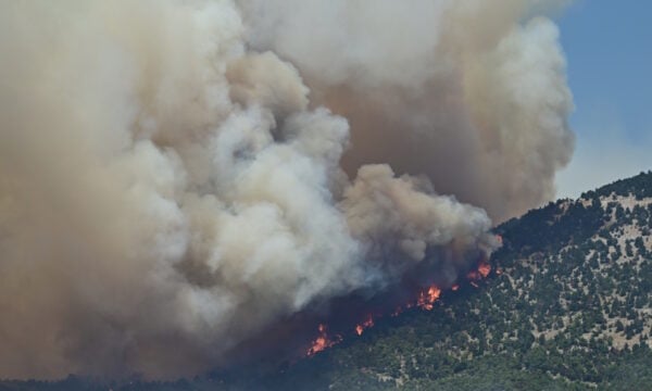 Φωτιά σε Βοιωτία και Αττική: Συναγερμός σε Μέγαρα και Ψάθα όπου η φωτιά, έφτασε δίπλα στα σπίτια – Εκκενώσεις σε Κανδήλι, Άνω Βλυχάδα, Άγιο Κωνσταντίνο και ΒΙ.ΠΕ. Μεγάρων