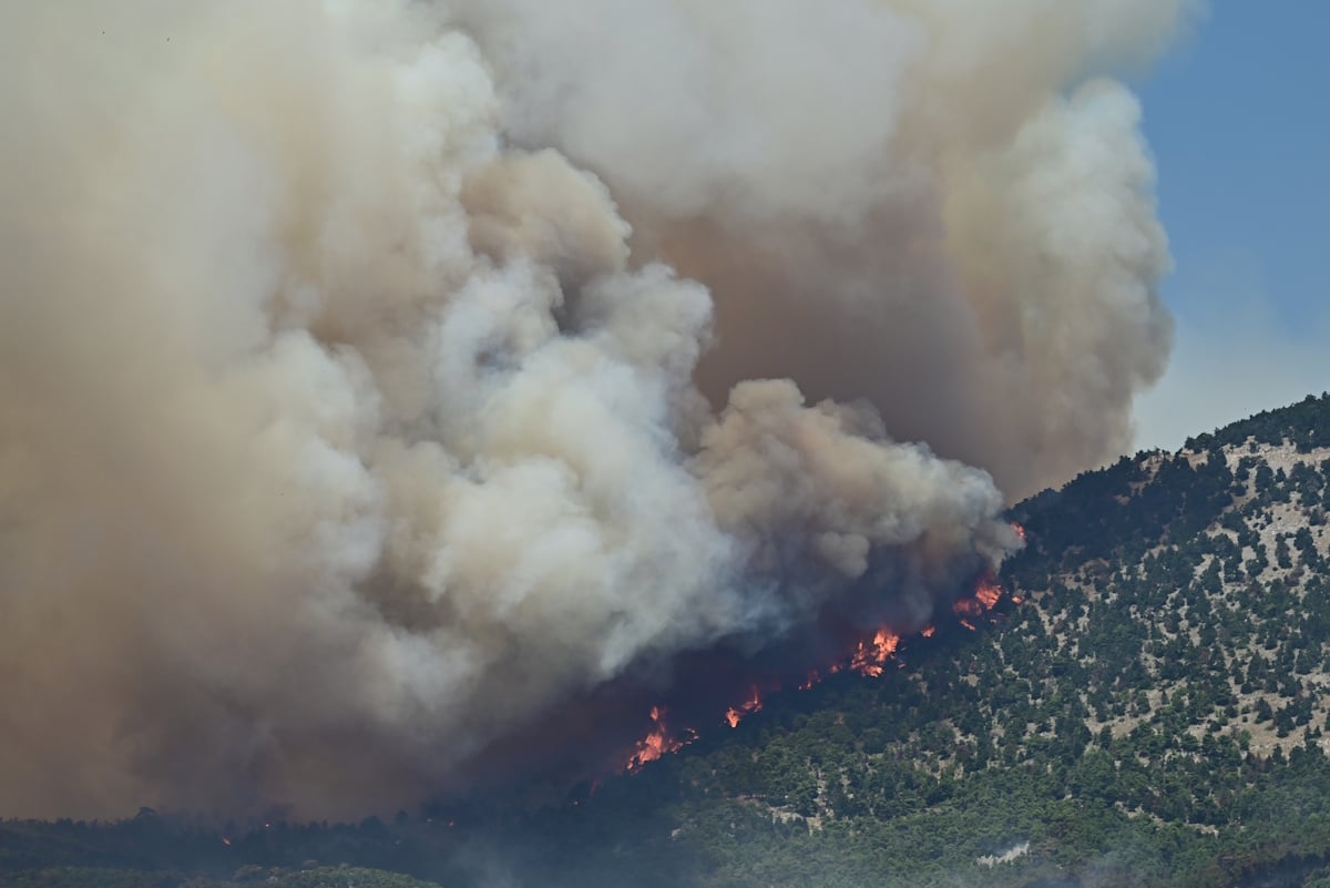 Φωτιά σε Βοιωτία και Αττική: Συναγερμός σε Μέγαρα και Ψάθα όπου η φωτιά, έφτασε δίπλα στα σπίτια – Εκκενώσεις σε Κανδήλι, Άνω Βλυχάδα, Άγιο Κωνσταντίνο και ΒΙ.ΠΕ. Μεγάρων