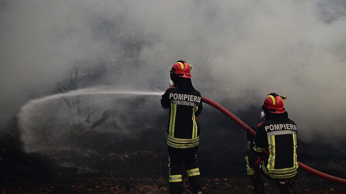 Φωτιά στην Αττική: Οι πυροσβεστικές δυνάμεις επιχειρούν σε πολλαπλές εστίες αδιάκοπα 1 Φωτιά στην Αττική: Οι πυροσβεστικές δυνάμεις επιχειρούν σε πολλαπλές εστίες αδιάκοπα