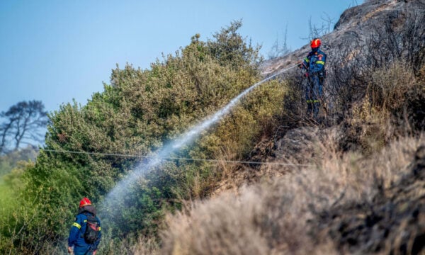 Φωτιά στο Κουνουπέλι Ηλείας: Εμπρησμό δείχνουν τα πρώτα στοιχεία