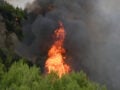 Ιωάννινα: Φωτιά σε δασική έκταση στην περιοχή Αγία Τριάδα
