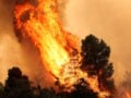 Φωτιές σε Βοιωτία και Αττική: Συνελήφθη δήμαρχος, στο μικροσκόπιο η κατασκευαστική εταιρεία του