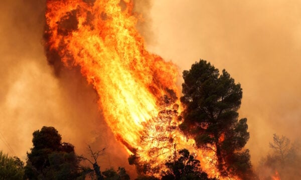 Φωτιές σε Βοιωτία και Αττική: Συνελήφθη δήμαρχος, στο μικροσκόπιο η κατασκευαστική εταιρεία του