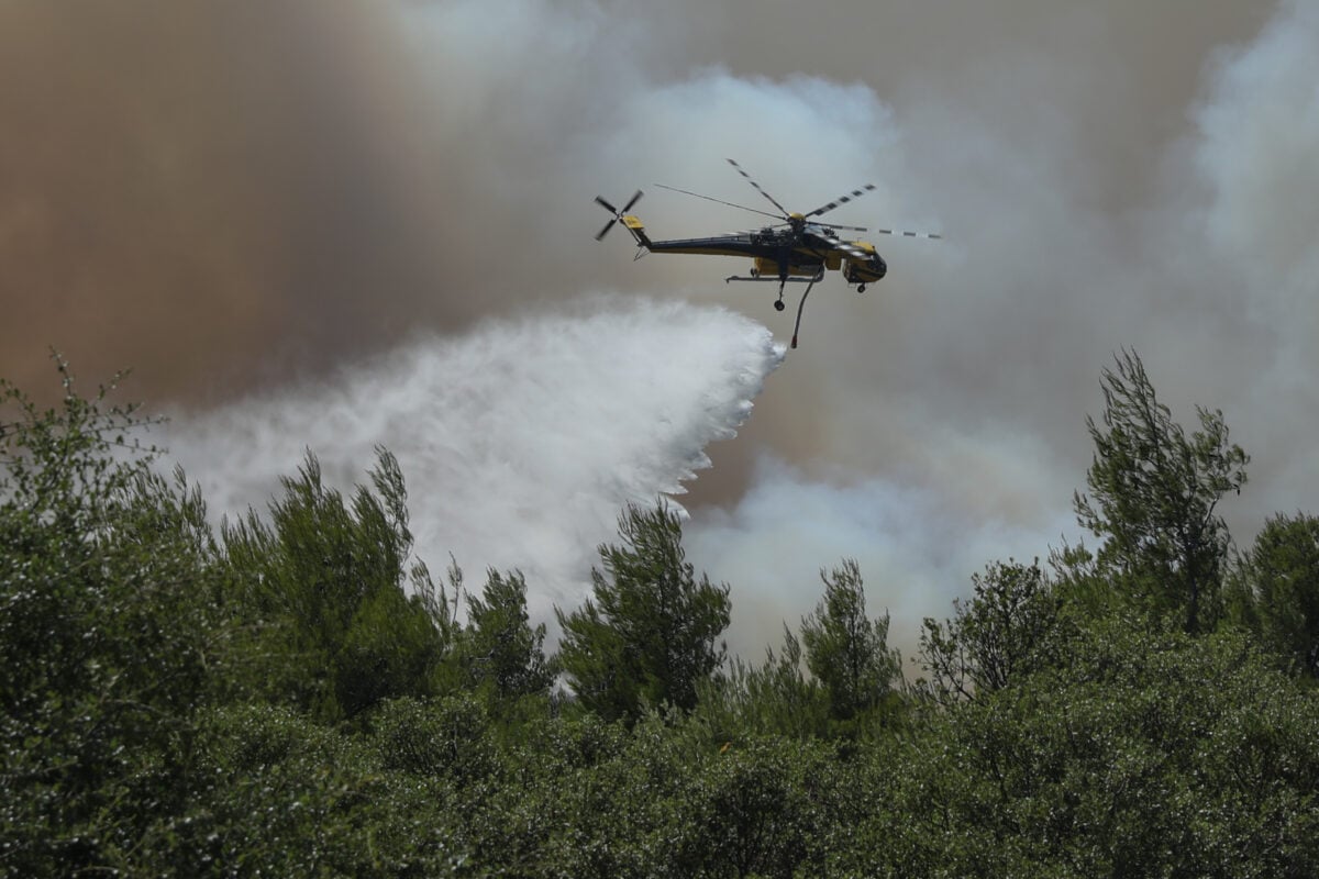 Φωτιά στα Κρανιά Γρεβενών: Καίει δασική έκταση