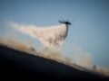 Φωτιά στη Ζάκυνθο στην περιοχή Μαραθιάς – Επιχειρούν εναέρια μέσα