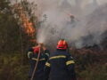 Φωτιά στη Χαλκιδική: Καίει σε αγροτοδασική έκταση στο Παλαιοχώρι