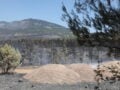 Ευθύμιος Λέκκας: Η φωτιά μπορεί να καίει υπόγεια για εβδομάδες ή και μήνες