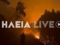 Φωτιά στην Ηλεία στην περιοχή στην Αλφειούσα: Ολονύχτια μάχη με τις φλόγες – Οι άνεμοι δυσκολεύουν το έργο κατάσβεσης