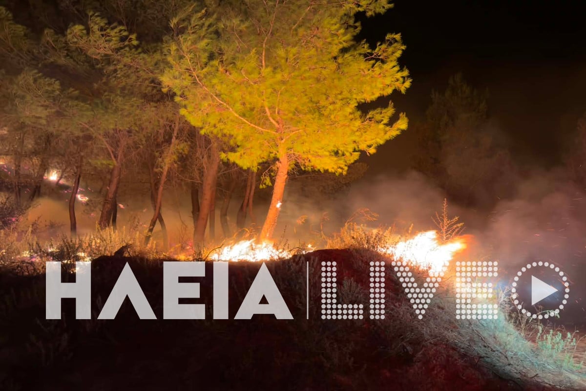 Φωτιά στην Ηλεία στην Αλφειούσα: Ολονύχτια μάχη με τις φλόγες, οι άνεμοι δυσκολεύουν την κατάσβεση 11 Φωτιά στην Ηλεία στην Αλφειούσα: Ολονύχτια μάχη με τις φλόγες, οι άνεμοι δυσκολεύουν την κατάσβεση