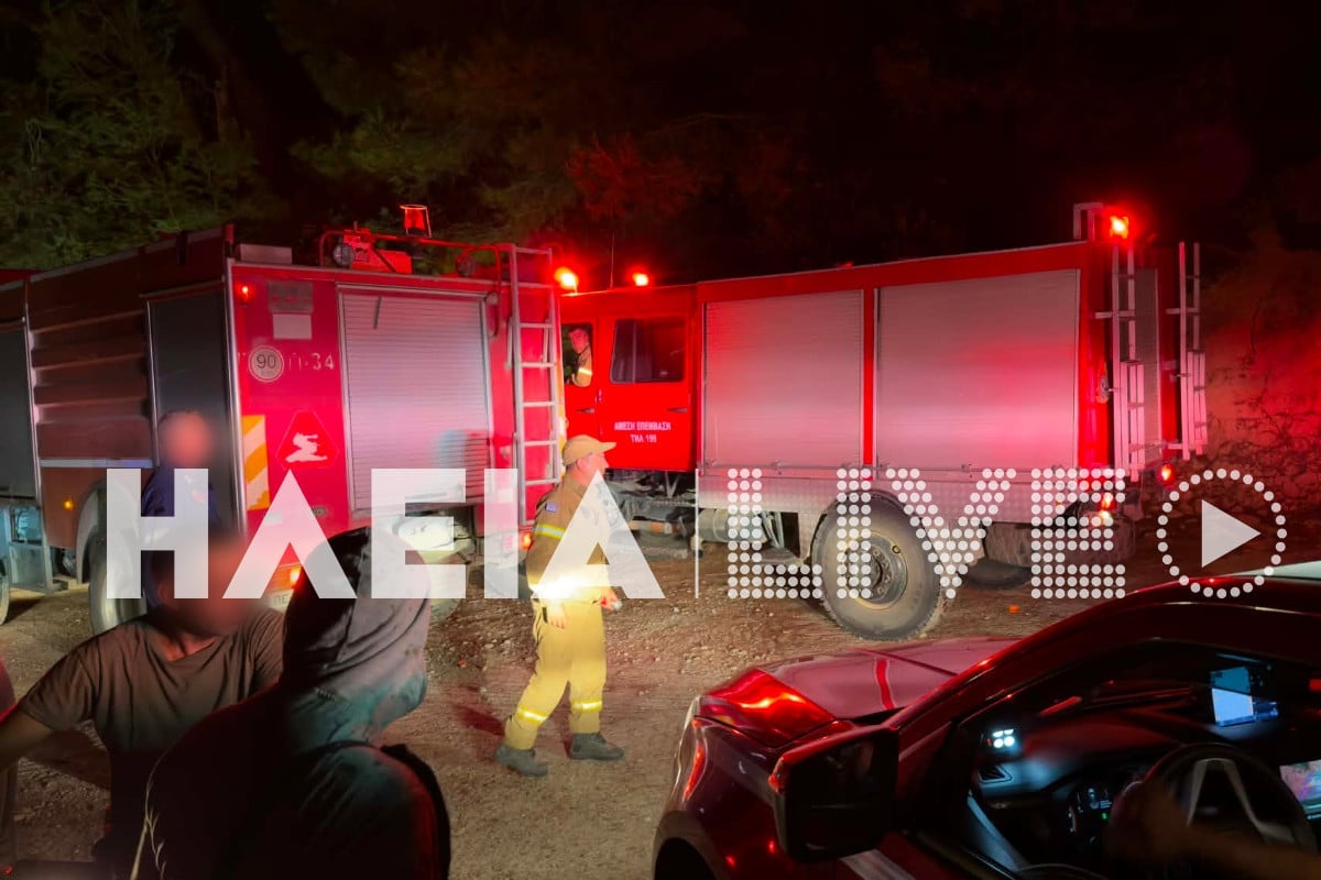 Φωτιά στην Ηλεία στην Αλφειούσα: Ολονύχτια μάχη με τις φλόγες, οι άνεμοι δυσκολεύουν την κατάσβεση 9 Φωτιά στην Ηλεία στην Αλφειούσα: Ολονύχτια μάχη με τις φλόγες, οι άνεμοι δυσκολεύουν την κατάσβεση