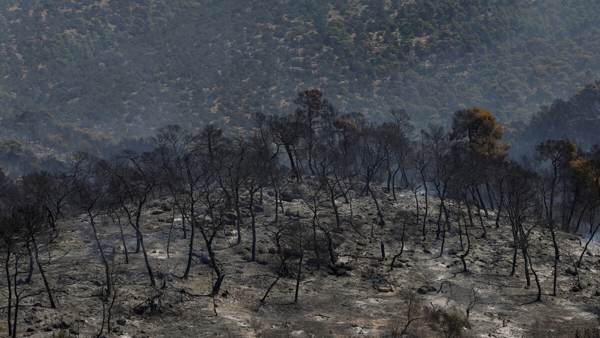 Φωτιές σε Βοιωτία και Δυτική Αττική: Προσωρινά κρατούμενοι δήμαρχος, μηχανικός και ιδιοκτήτης αιολικού πάρκου 1 Φωτιές σε Βοιωτία και Δυτική Αττική: Προσωρινά κρατούμενοι δήμαρχος, μηχανικός και ιδιοκτήτης αιολικού πάρκου