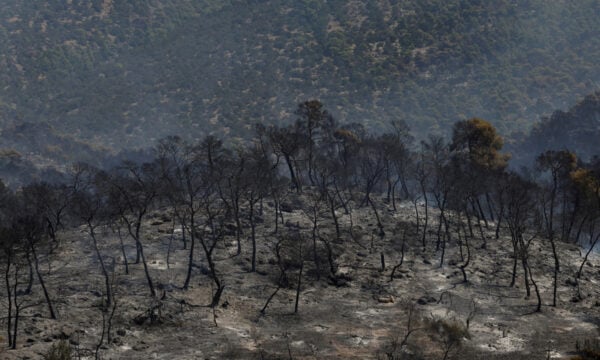 Φωτιές σε Βοιωτία και Δυτική Αττική: Προσωρινά κρατούμενοι δήμαρχος, μηχανικός και ιδιοκτήτης αιολικού πάρκου