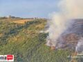 Φωτιά στην Κεφαλονιά: Συνελήφθη 44χρονος για εμπρησμό – Είχε καταδικαστεί και στο παρελθόν