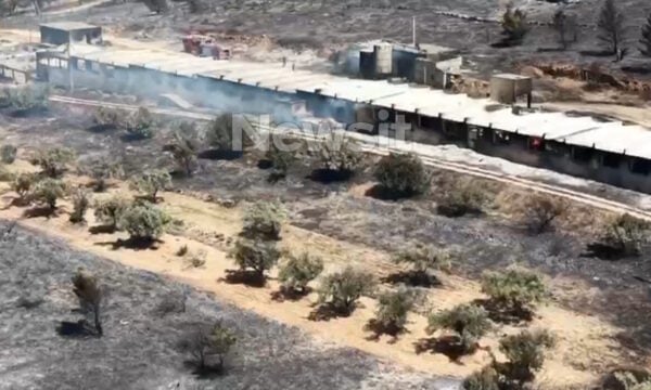 Φωτιά στον Κουβαρά: Καταστράφηκε ολοσχερώς η κτηνοτροφική μονάδα – Βίντεο από drone δείχνει το μέγεθος των ζημιών
