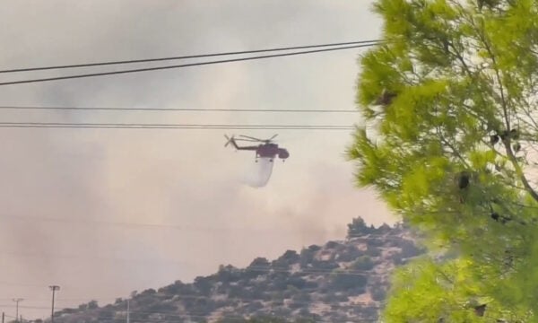 Νέα αναζωπύρωση της πυρκαγιάς στο νότιο μέτωπο: Συναγερμός σε Μέγαρα και Βλυχάδα
