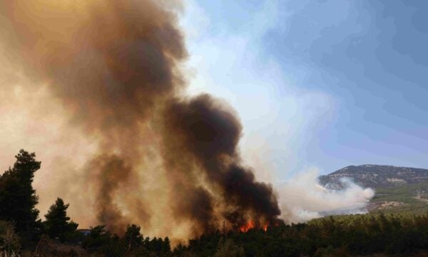 Πύρινος ανεμοστρόβιλος στη φωτιά στο Κανδήλι Μεγάρων: βίντεο