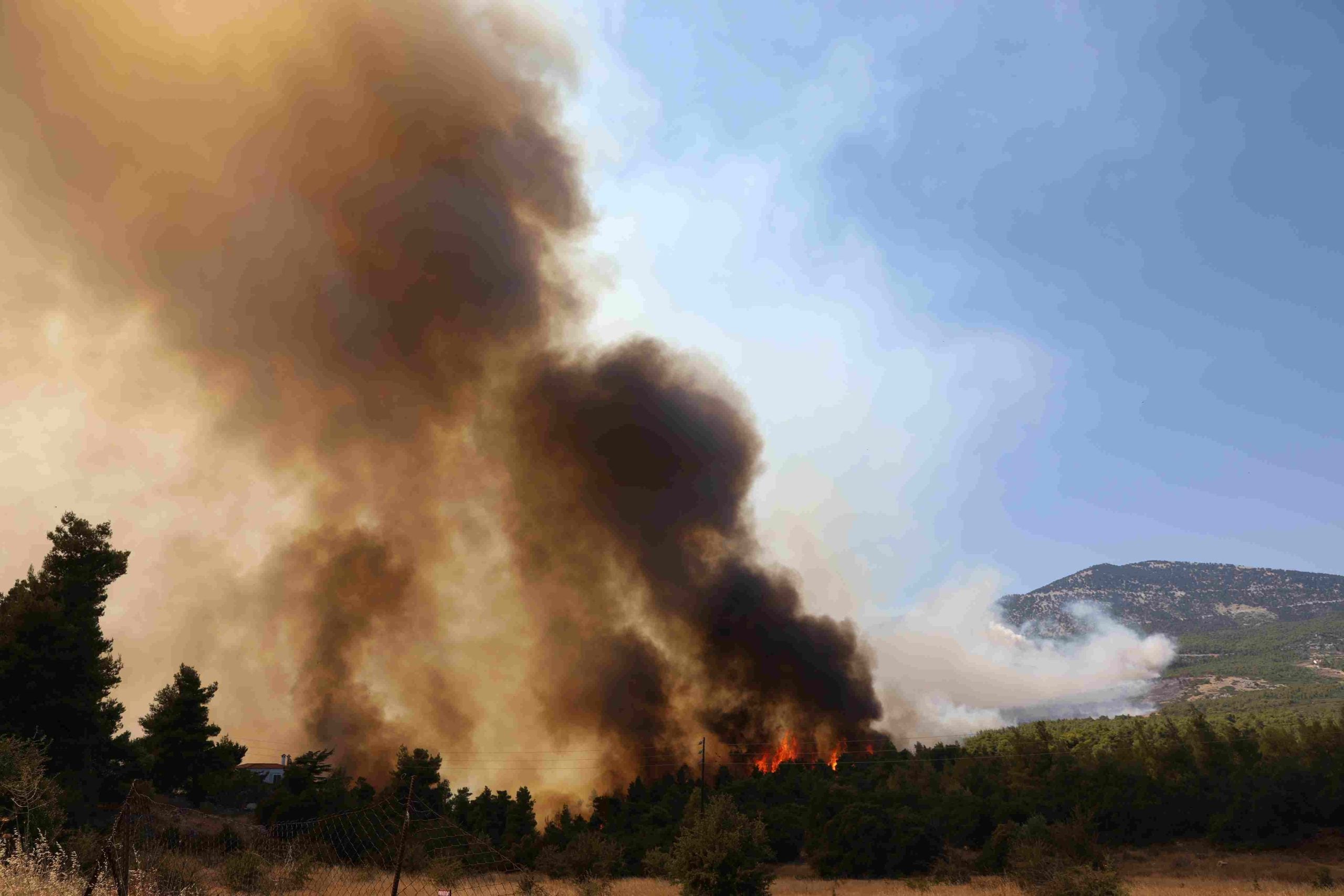 Πύρινος ανεμοστρόβιλος στη φωτιά στο Κανδήλι Μεγάρων: βίντεο