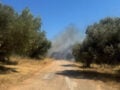 Φωτιά στο Πικέρμι: Μήνυμα του 112 για ετοιμότητα – Βρέθηκε απανθρακωμένη σορός σε αυτοκίνητο