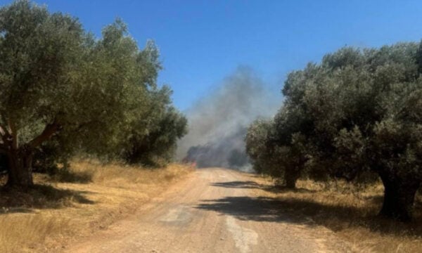 Φωτιά στο Πικέρμι: Μήνυμα του 112 για ετοιμότητα – Βρέθηκε απανθρακωμένη σορός σε αυτοκίνητο