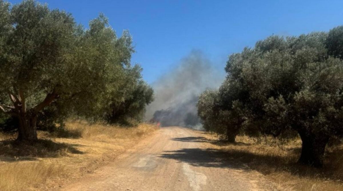 Φωτιά στο Πικέρμι: Μήνυμα του 112 για ετοιμότητα – Βρέθηκε απανθρακωμένη σορός σε αυτοκίνητο