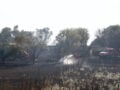 Φωτιά στον Λαχανά Θεσσαλονίκης  – Στη μάχη ισχυρές πυροσβεστικές δυνάμεις και δύο ελικόπτερα