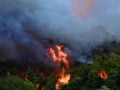 Φωτιά σε Πόρτο Γερμενό, Φωκίδα και Φθιώτιδα: Μάχη των πυροσβεστών με τις φλόγες και τους ανέμους – Live οι εξελίξεις