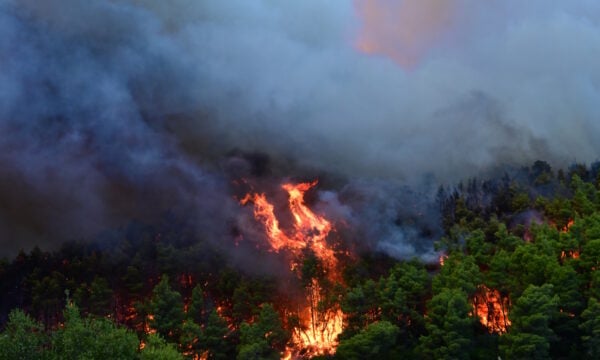Φωτιά σε Πόρτο Γερμενό, Φωκίδα και Φθιώτιδα: Μάχη των πυροσβεστών με τις φλόγες και τους ανέμους – Live οι εξελίξεις