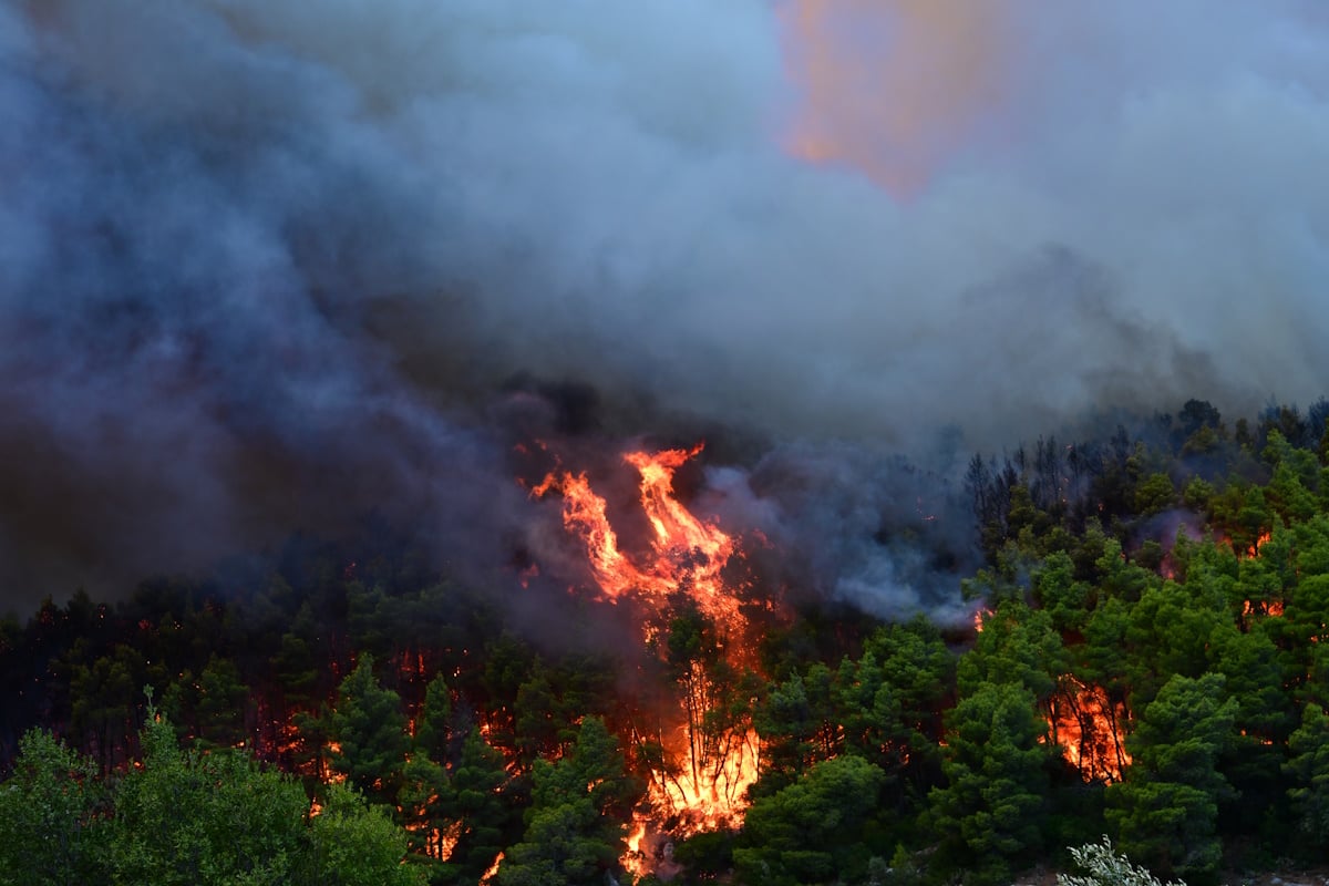 Φωτιά σε Πόρτο Γερμενό, Φωκίδα και Φθιώτιδα: Μάχη των πυροσβεστών με τις φλόγες και τους ανέμους – Live οι εξελίξεις