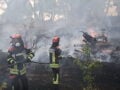 Φωτιές σε Αττική και Βοιωτία: Πέμπτη ημέρα μάχης με τις φλόγες – Συνεχείς αναζωπυρώσεις σε Λούμπα και Ψάθα – Live όλες οι εξελίξεις