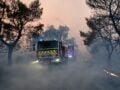 Φωτιά στη Μαγνησία στην περιοχή Άγιος Λαυρέντιος – Επιχειρούν 3 εναέρια μέσα
