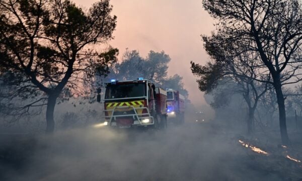 Φωτιά στη Μαγνησία στην περιοχή Άγιος Λαυρέντιος – Επιχειρούν 3 εναέρια μέσα