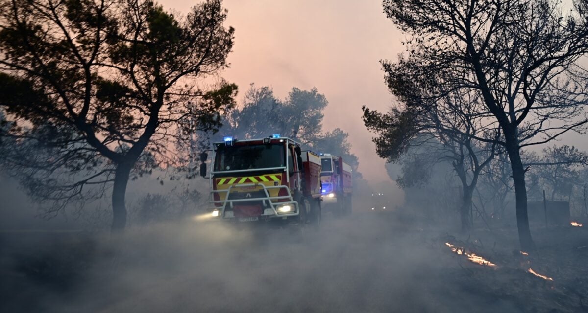 Φωτιά στη Μαγνησία στην περιοχή Άγιος Λαυρέντιος – Επιχειρούν 3 εναέρια μέσα